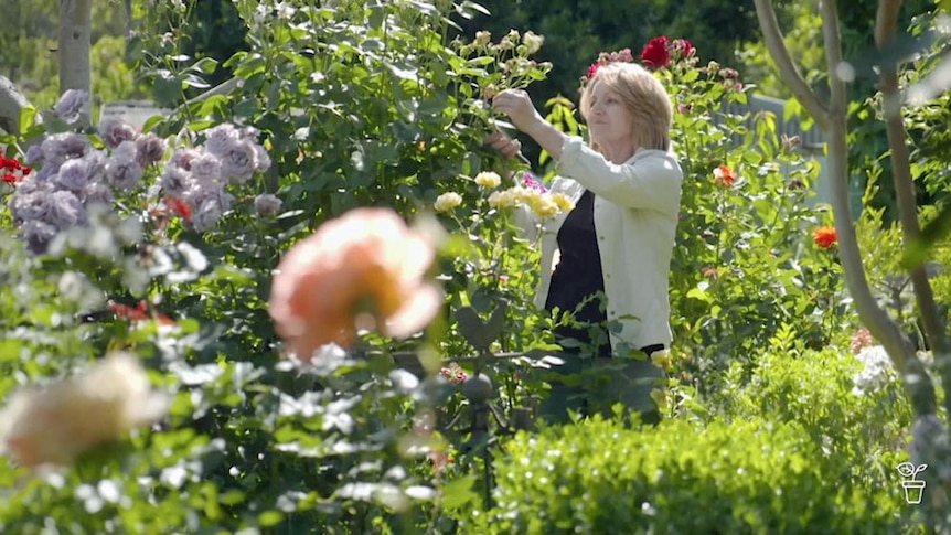 A woman pruning flowers in a garden filled with flowers.