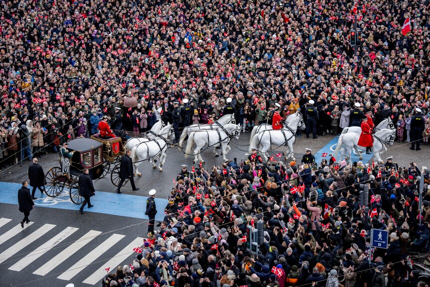A wide shot of eight white horses pulling a black royal carriage as thousands gather with red and white Danish flags