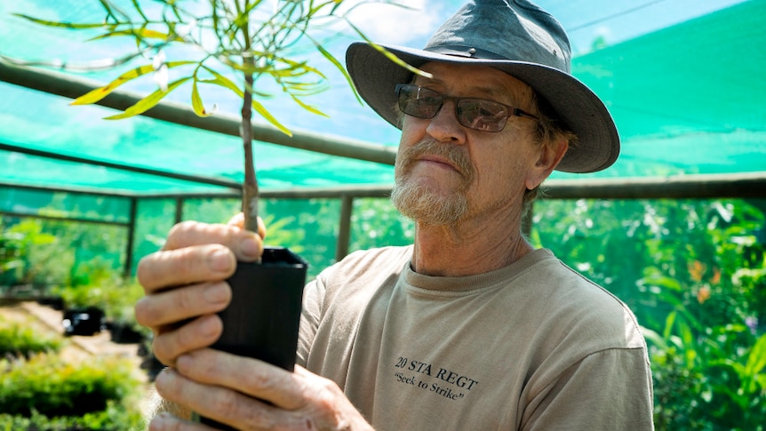 Richard Tomkin hold a small tree in his hands to check that it is secure.