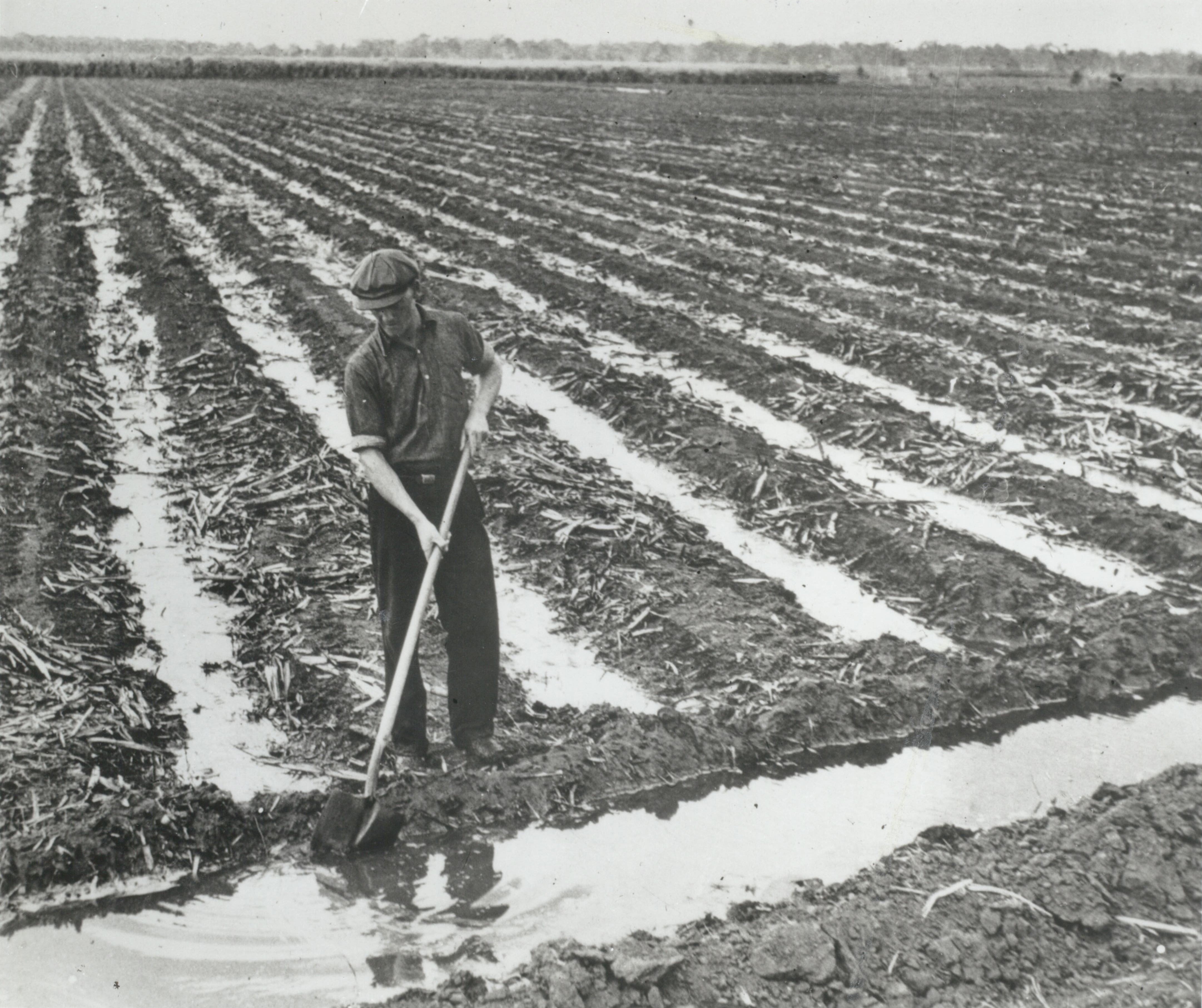 Australia's peak cane growing body celebrates 100 years of fighting for fairness