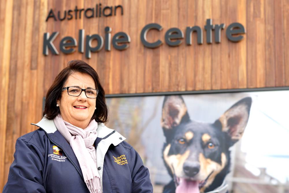 Karen Stephens, president of the Casterton kelpie Association.