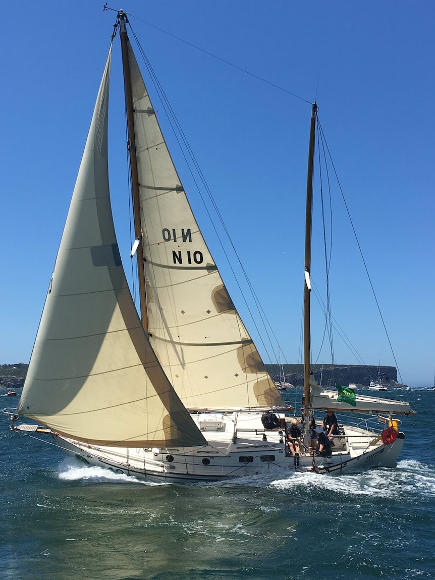Freyja, a 71-year-old competitor in the 2016 Sydney Hobart.