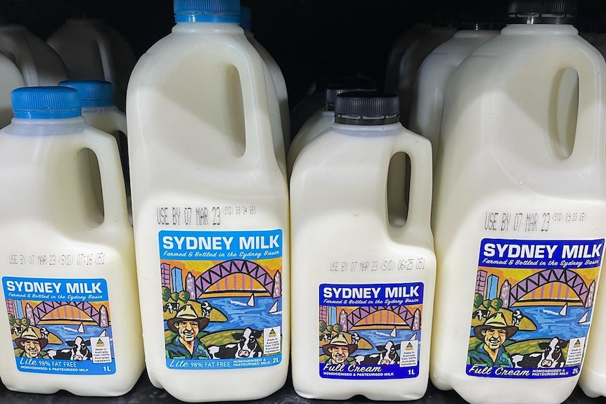 Sydney milk