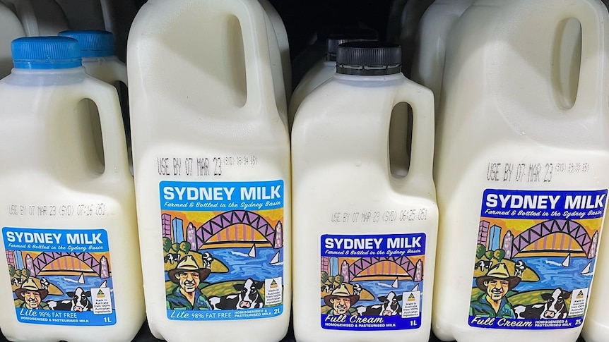 Les créanciers laitiers devaient des millions, un agriculteur quitte l’industrie après l’effondrement du transformateur de lait de Country Valley