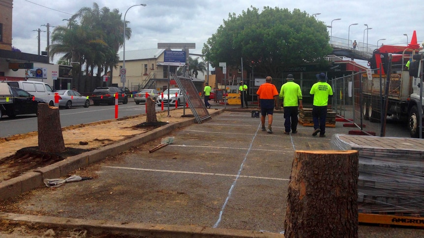 The stumps of the former street trees in Beaumont Street, Hamilton near the railway station.