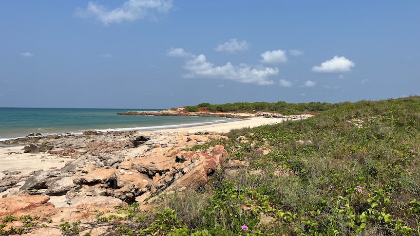A panoramic photo of ocean, beach and scrubland