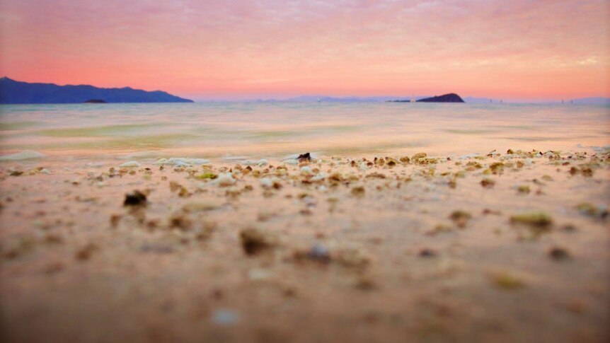 One of the beaches on Hayman Island.