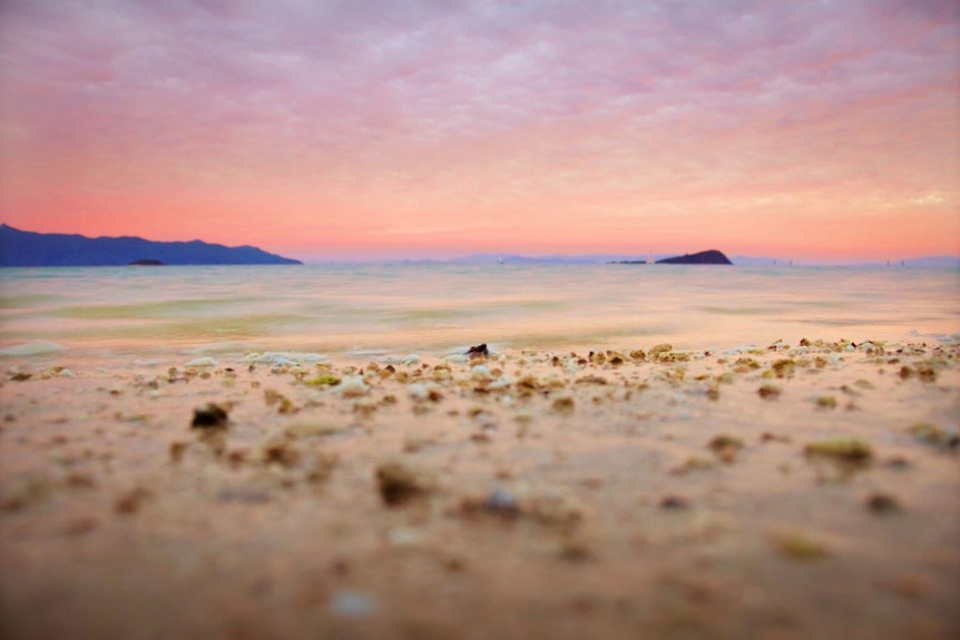 One of the beaches on Hayman Island.