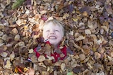 Boy playing in fallen autumn leaves