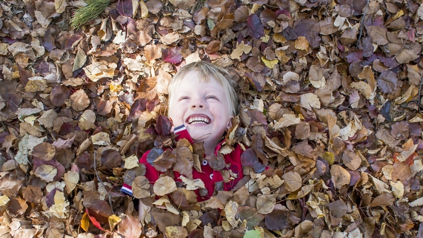 Boy playing in fallen autumn leaves