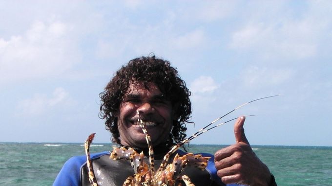 A tropical rock lobster caught live by hand off the east coast of Cape York by Puchiwu Fishing Ltd.