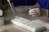 A scientist works with human genetic material at a laboratory.