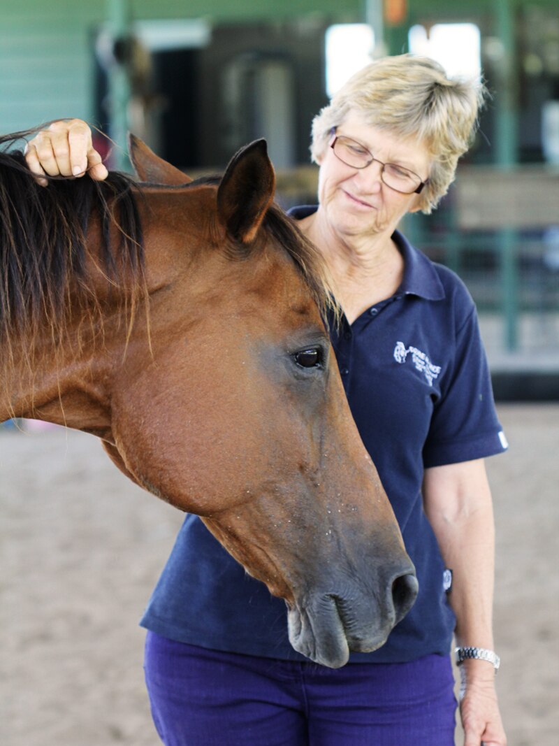 Equine Alliance owner Helen Sorensen pats one of the therapy horses.