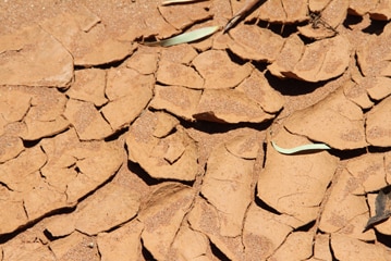 A close-up of dried mud in a dry lake bed.