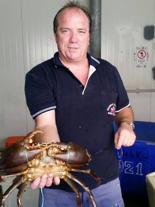 A man in a blue and white polo shirt holds a very large crab to the camera