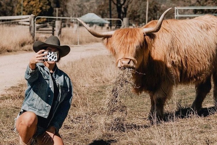 A young woman takes a selfie with her mobile phone in front of her highland cattle