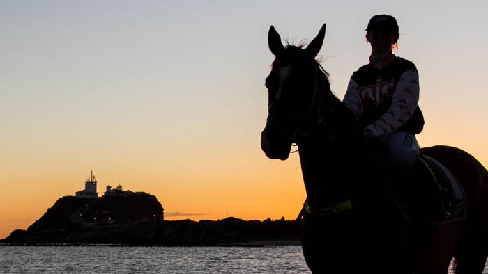 Newcastle Jockey Club board to be grilled over CEO sacking