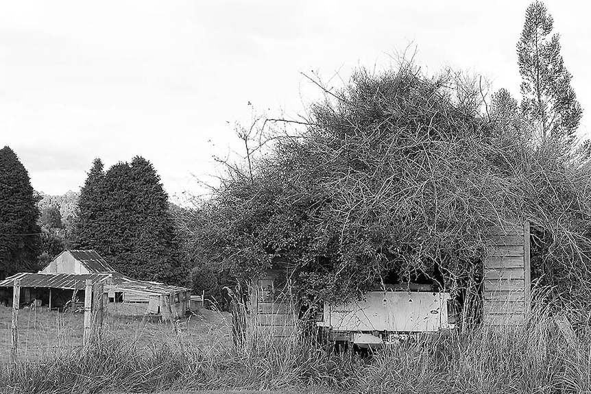 Tasmania's North West has a character shed around every corner