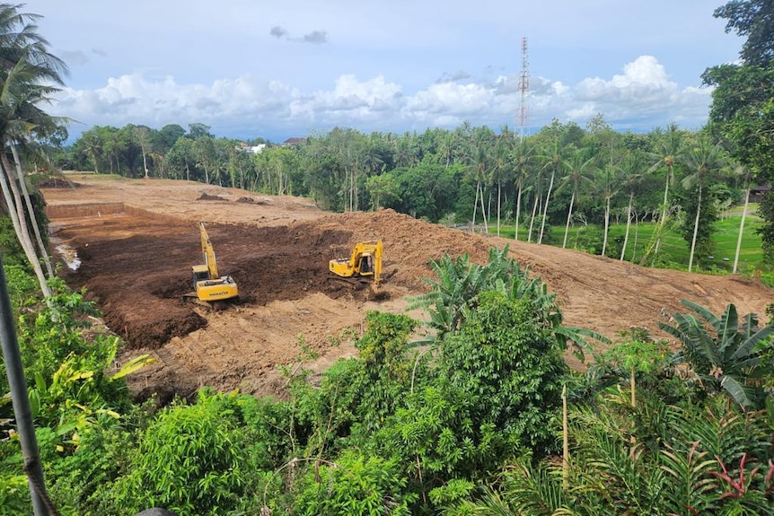Two bulldozers sit on a large area of brown dirt surrounded by green jungle and palm trees.