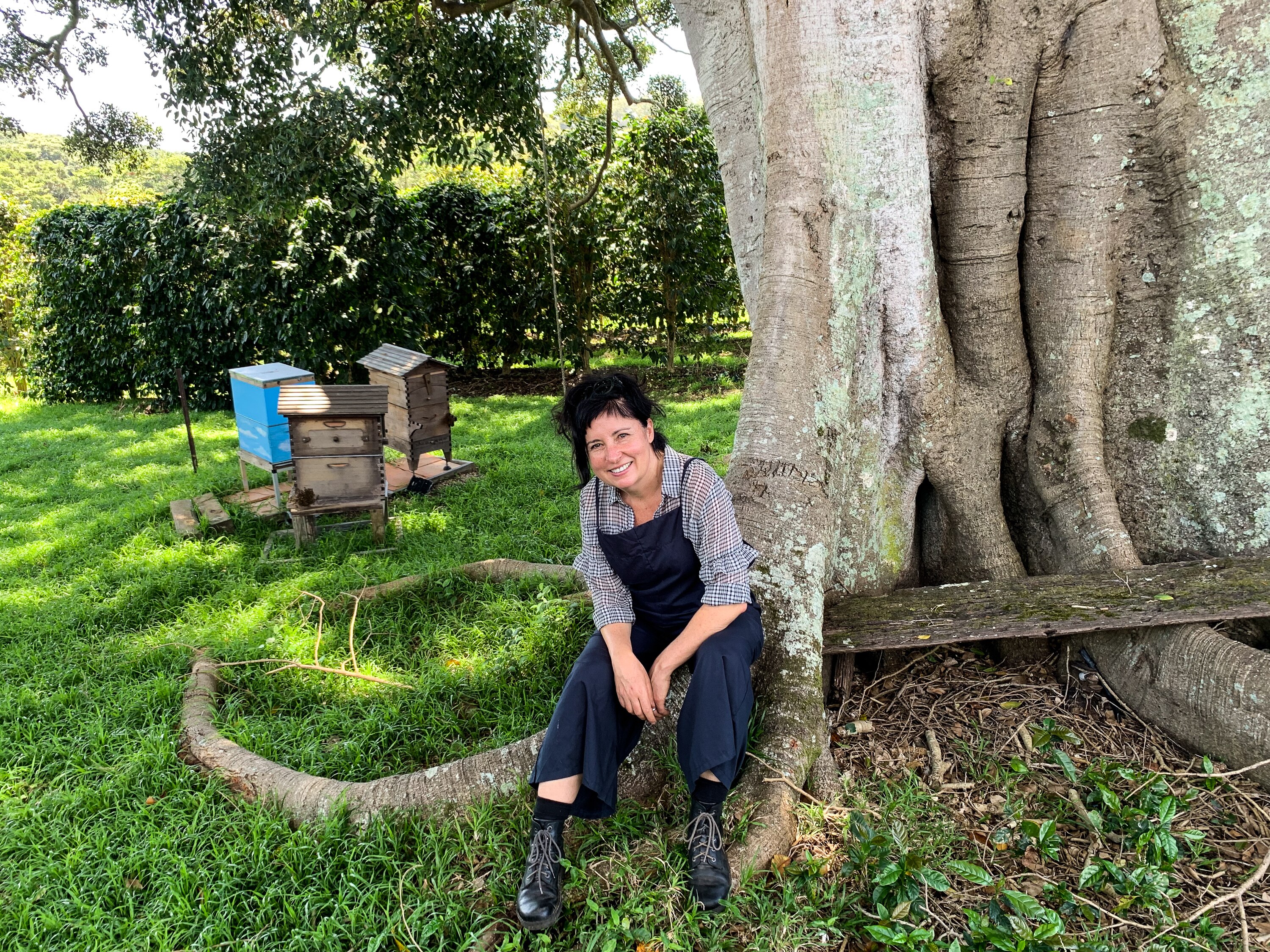 A woman sits beneath a coffee tree.