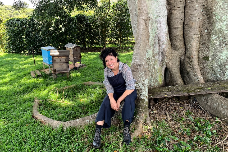 A woman sits beneath a coffee tree.