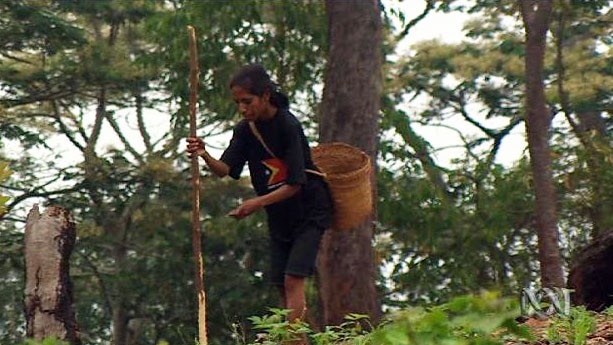 Woman with a basket on her back stands amongst trees