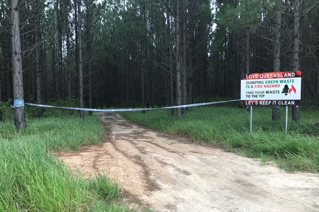 The Beerburrum forest where Samuel Thompson was found.