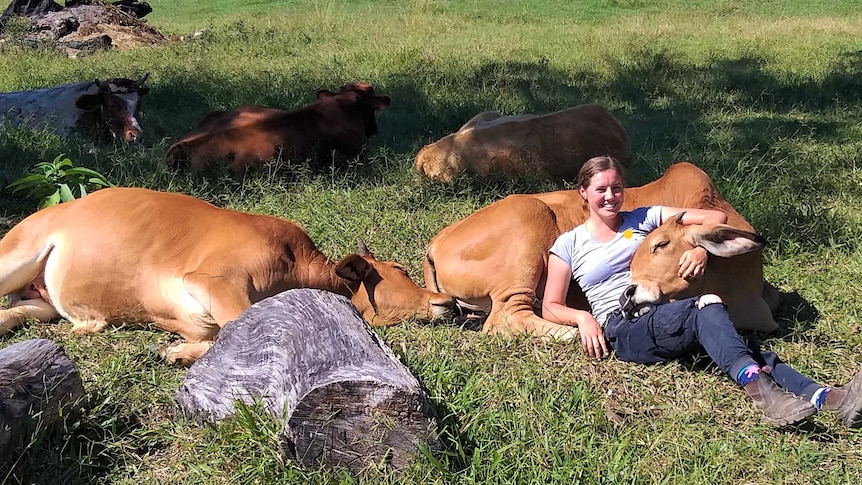 Young woman Mandali lying in grass paddock with various cows at Hare Krishna farm near Murwillumbah in northern New South Wales