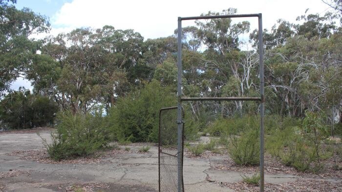 An old tennis court gate is all that remains from tennis courts, which is being taken over by nature.