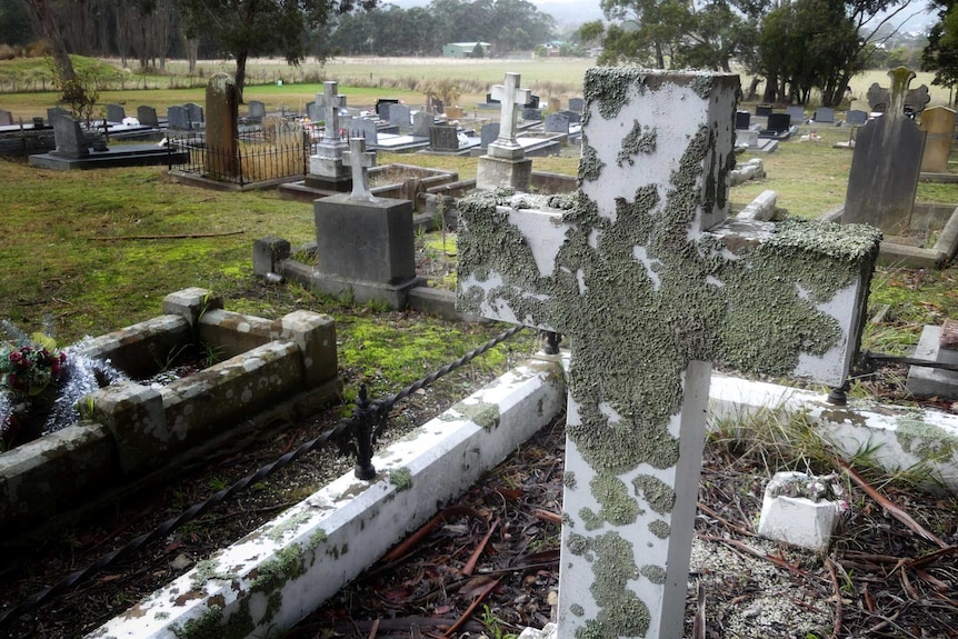 Moss grows on a concrete cross marking a gravestone in a cemetery