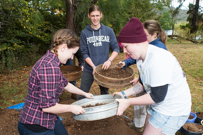 Springbank Island dig