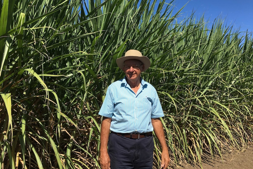 Richard Skopp, cane farmer