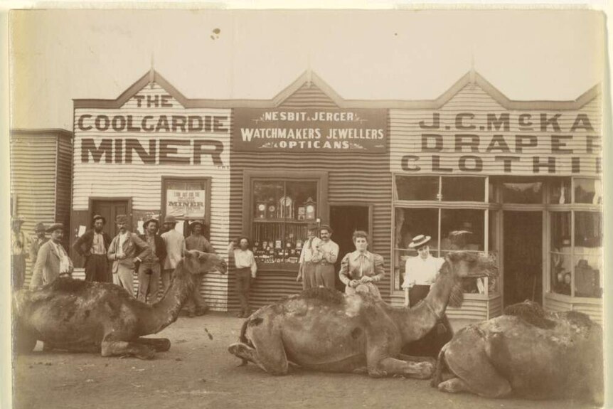 A black and white photograph of outback Australia from the 1890s.