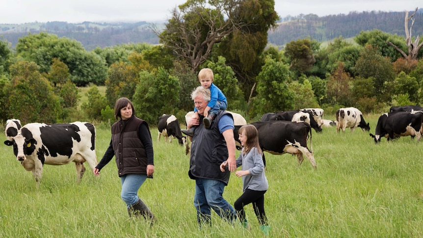 Gippsland dairy farmer Marian Macdonald with her family walking through a paddock full of cows