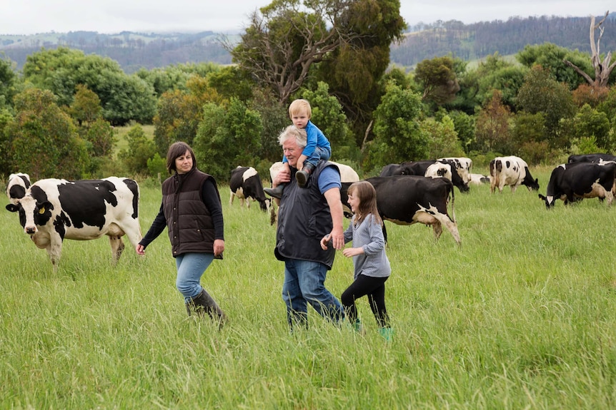 Gippsland dairy farmer Marian Macdonald with her family walking through a paddock full of cows