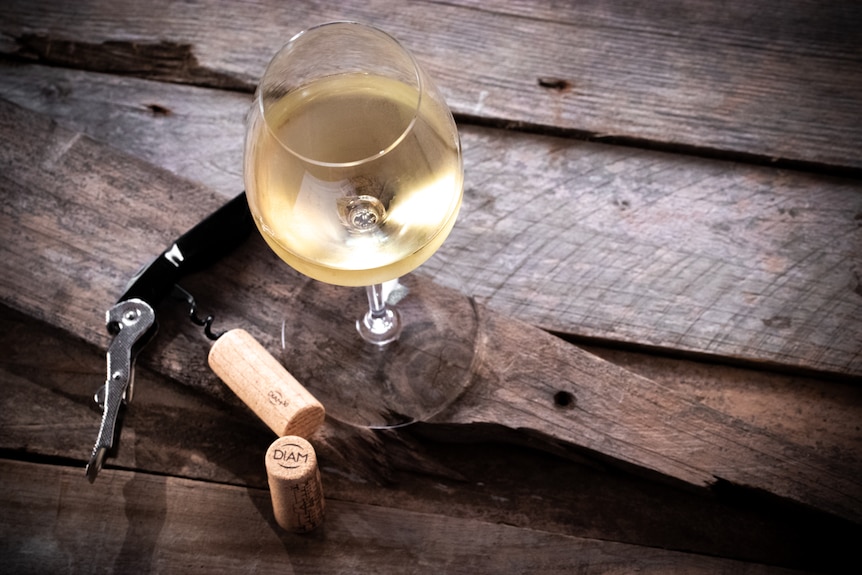 A glass of white wine next to a cork on a corkscrew