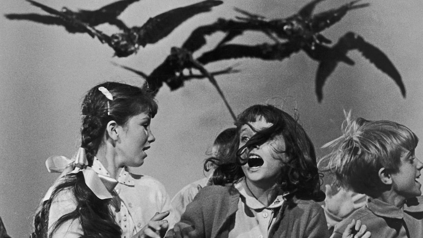 A black and white image of school children being attacked by black crows