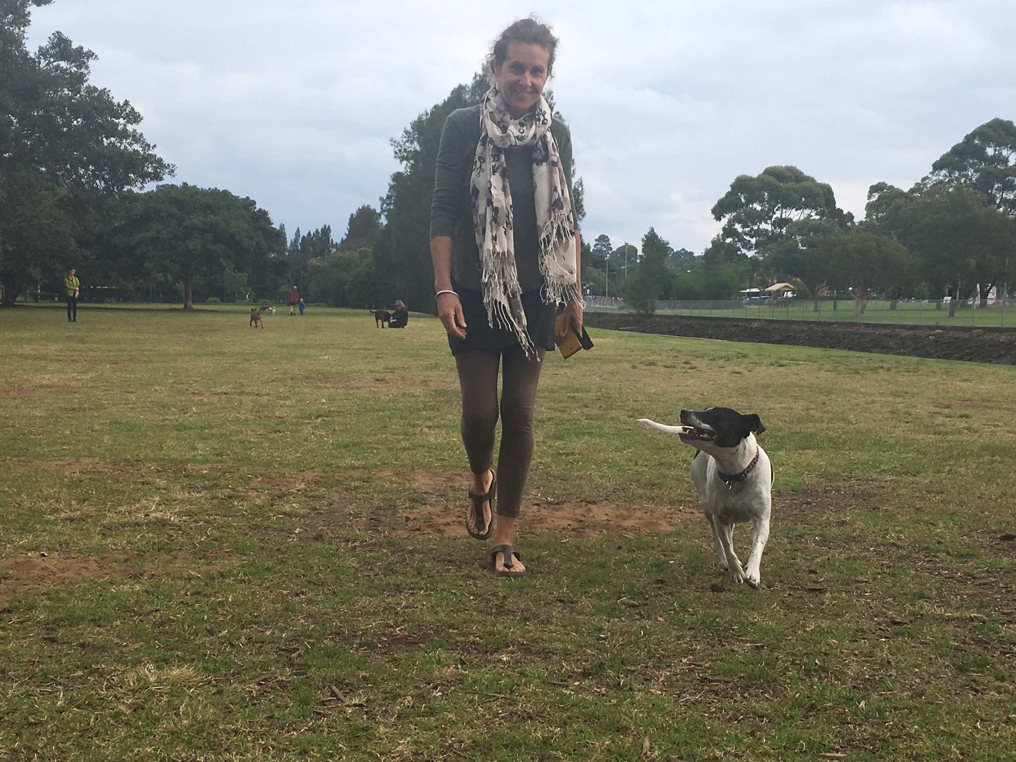 Sniffer dogs: How do the AFP's airport four-legged staff seek out ...