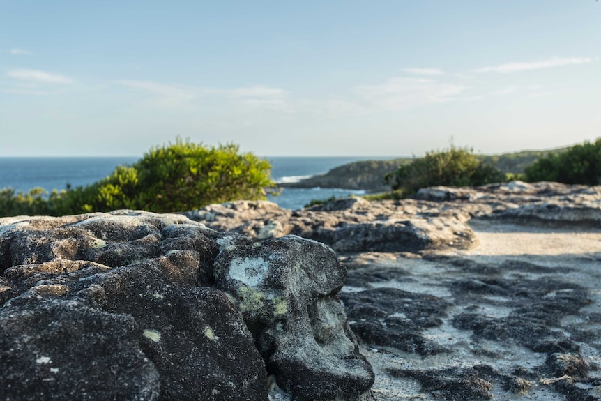 White sandstone cliffs during dusk at Booderee National Park