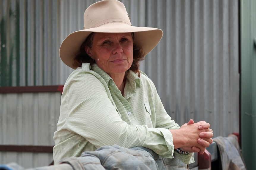 A woman leans on a fence in front of a corrugated iron shed. She is wearing a large hat.