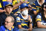 An Eels fan wears a mask in the stands