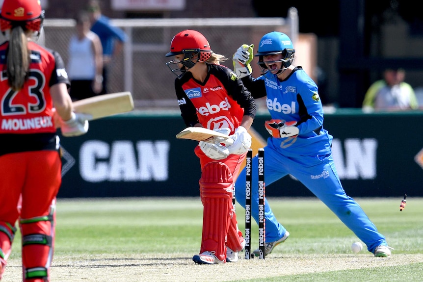 The Renegades' Danni Wyatt is bowled by the Strikers' Sarah Coyte in the Women's Big Bash.