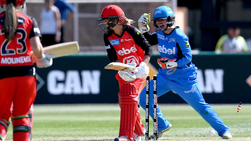 The Renegades' Danni Wyatt is bowled by the Strikers' Sarah Coyte in the Women's Big Bash.
