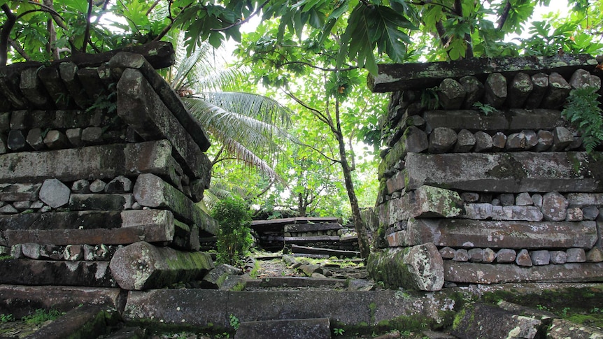 Ruined steps open into a walled area at the ruins of nan Madol in Micronesia.
