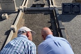 Two men leaning down to look at a grave in a cemetery.