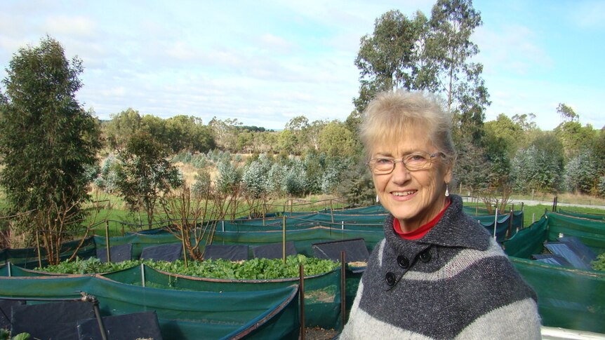 Helene Hawes is a snail farmer. She's standing beside raised garden beds surrounded by shade cloth mesh.