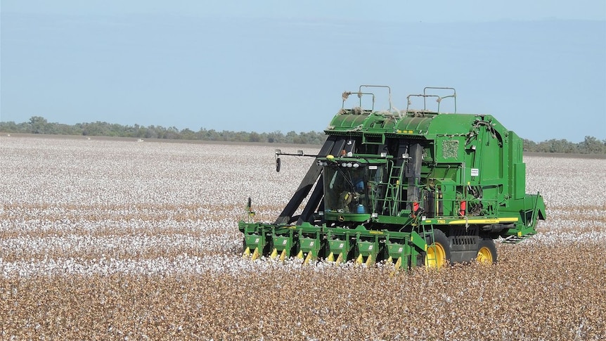 Cotton picker finishing up harvest at Cubbie Station
