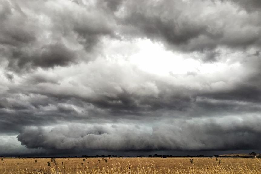 An incoming storm over Ararat