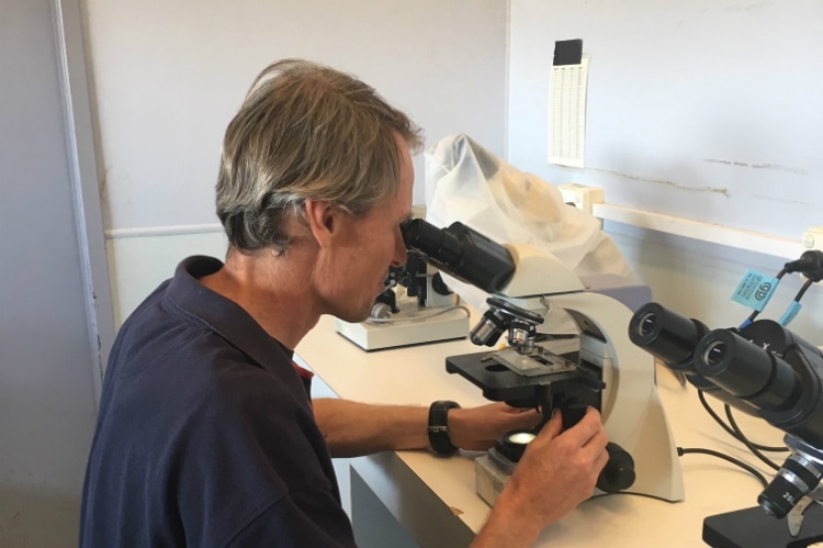 Dr Mike Dove looks through a microscope.