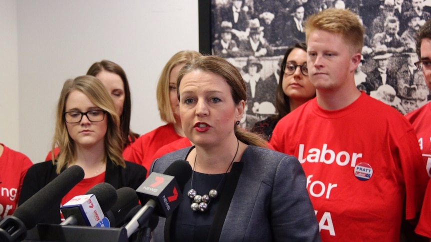 ALP Senator Louise Pratt said she was deeply disappointed at the outcome of the 2014 WA Senate election.